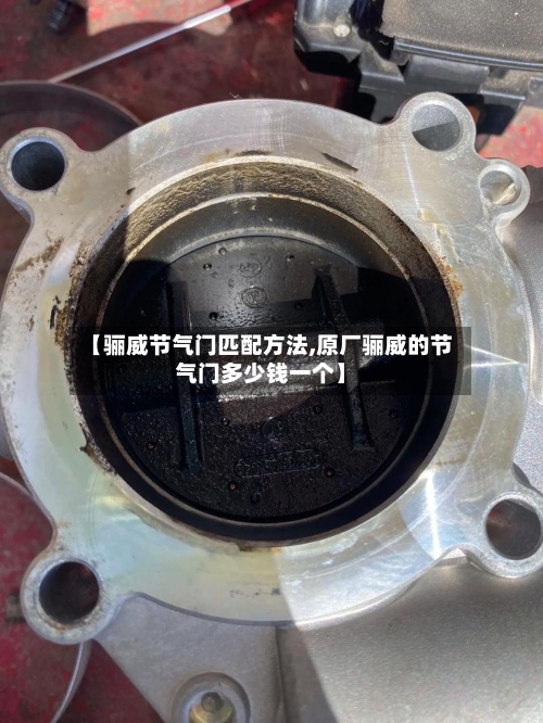 【骊威节气门匹配方法,原厂骊威的节气门多少钱一个】-第2张图片