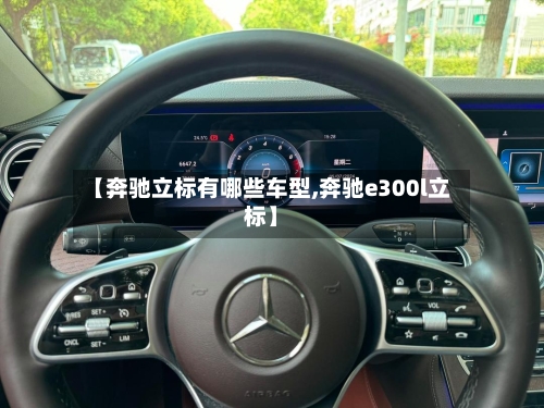 【奔驰立标有哪些车型,奔驰e300l立标】-第3张图片