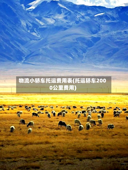 物流小轿车托运费用表(托运轿车2000公里费用)-第2张图片