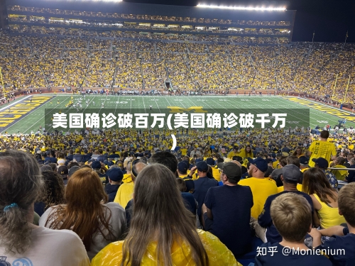 美国确诊破百万(美国确诊破千万)-第3张图片