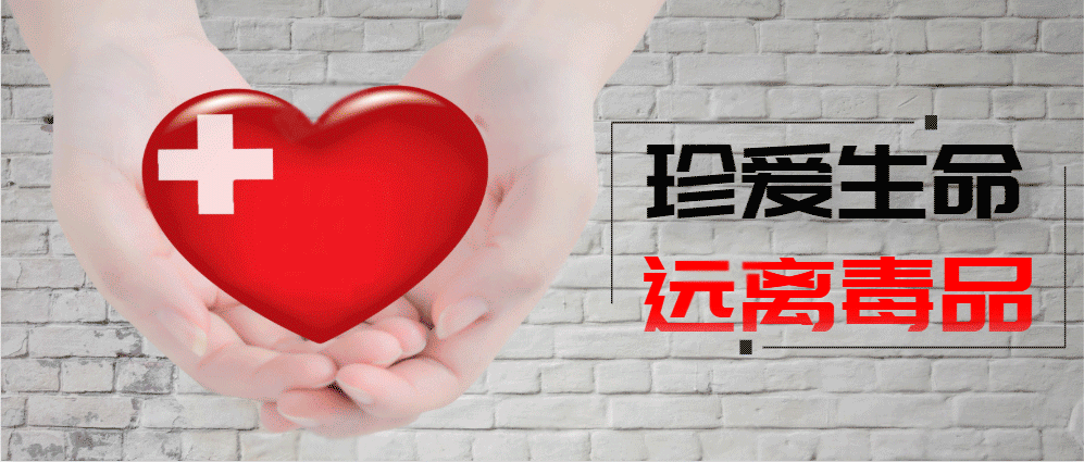 新型冠状病毒疫情通报/新型冠状病毒感染的肺炎疫情动态-第2张图片