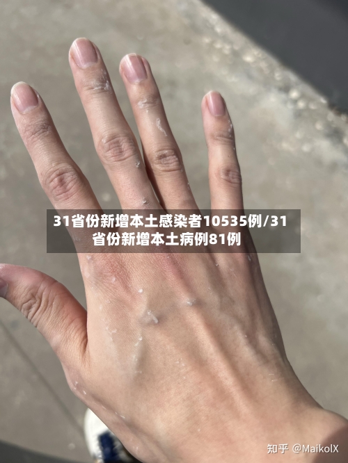 31省份新增本土感染者10535例/31省份新增本土病例81例-第3张图片