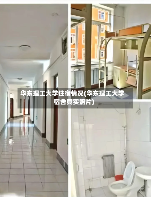 华东理工大学住宿情况(华东理工大学宿舍真实照片)