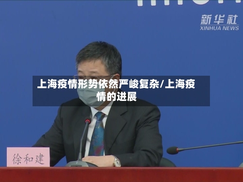 上海疫情形势依然严峻复杂/上海疫情的进展-第2张图片