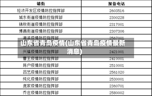 山东省青岛疫情(山东省青岛疫情最新消息)-第3张图片