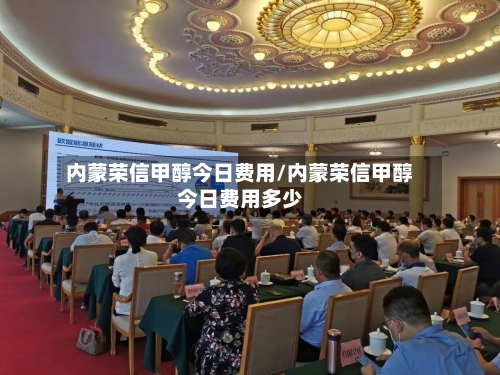 内蒙荣信甲醇今日费用/内蒙荣信甲醇今日费用多少-第2张图片