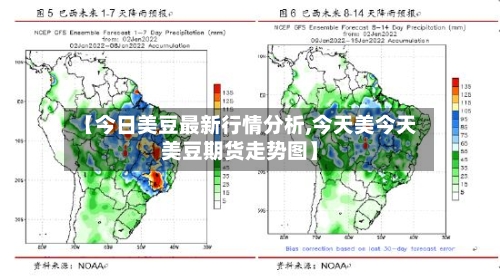 【今日美豆最新行情分析,今天美今天美豆期货走势图】
