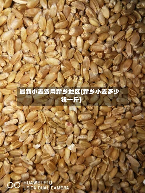 最新小麦费用新乡地区(新乡小麦多少钱一斤)-第2张图片