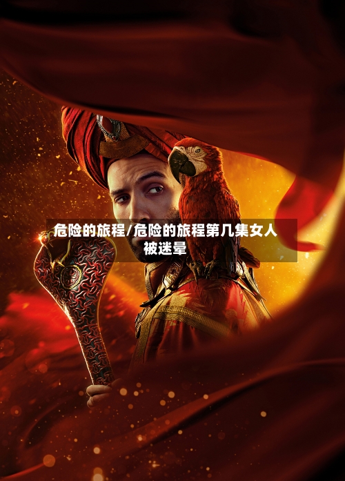 危险的旅程/危险的旅程第几集女人被迷晕