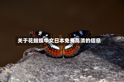 关于花蝴蝶中文日本免费高清的信息-第3张图片