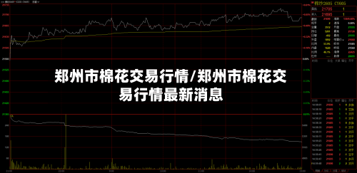 郑州市棉花交易行情/郑州市棉花交易行情最新消息