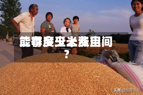 二季度玉米费用能有多少上涨空间？