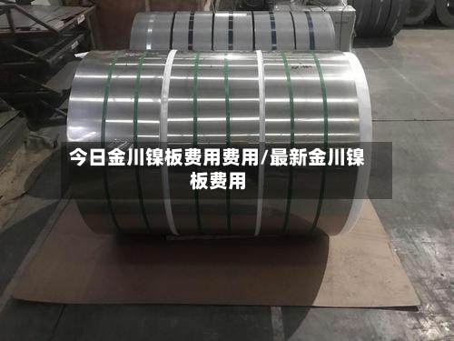 今日金川镍板费用费用/最新金川镍板费用