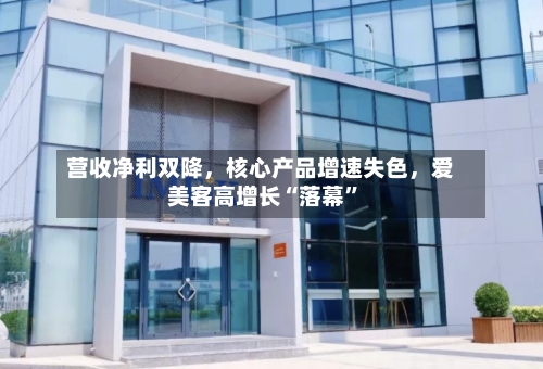 营收净利双降，核心产品增速失色，爱美客高增长“落幕”-第2张图片