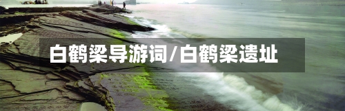 白鹤梁导游词/白鹤梁遗址-第3张图片