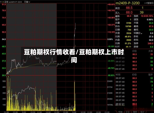 豆粕期权行情收看/豆粕期权上市时间