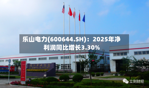 乐山电力(600644.SH)：2025年净利润同比增长3.30%