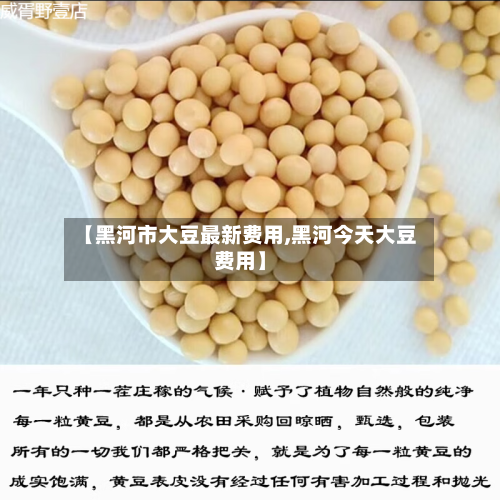 【黑河市大豆最新费用,黑河今天大豆费用】
