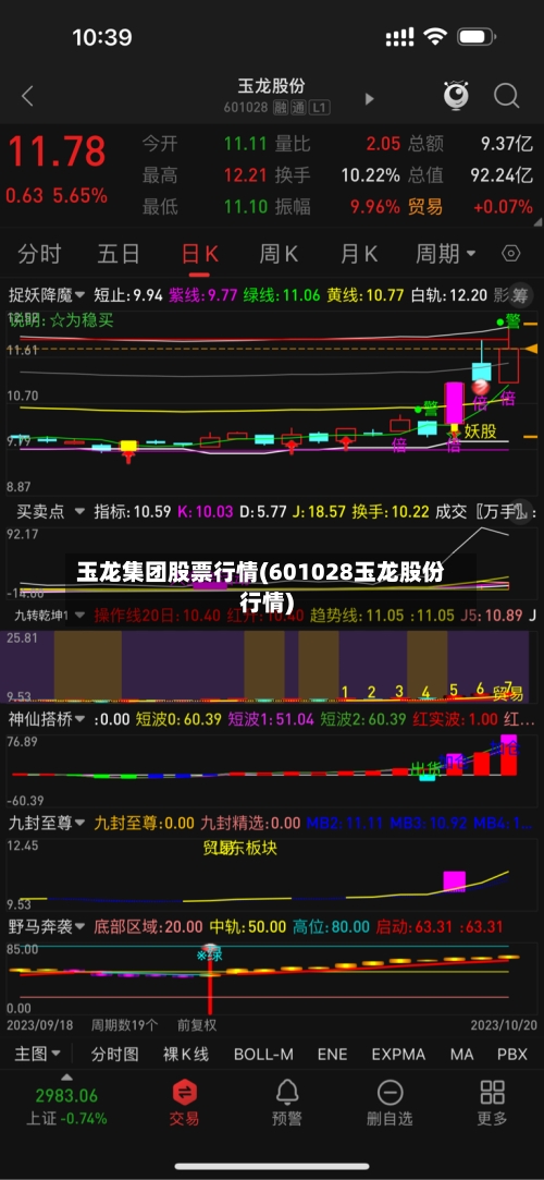 玉龙集团股票行情(601028玉龙股份行情)-第2张图片