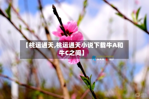 【桃运通天,桃运通天小说下载牛A和牛C之间】-第3张图片