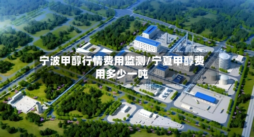 宁波甲醇行情费用监测/宁夏甲醇费用多少一吨-第3张图片