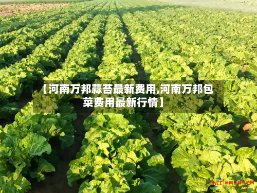 【河南万邦蒜苔最新费用,河南万邦包菜费用最新行情】