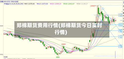 郑棉期货费用行情(郑棉期货今日实时行情)