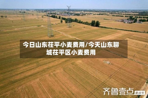 今日山东茌平小麦费用/今天山东聊城茌平区小麦费用-第2张图片