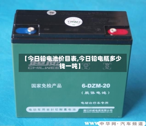 【今日铅电池价目表,今日铅电瓶多少钱一吨】