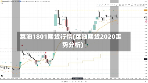 菜油1801期货行情(菜油期货2020走势分析)-第3张图片