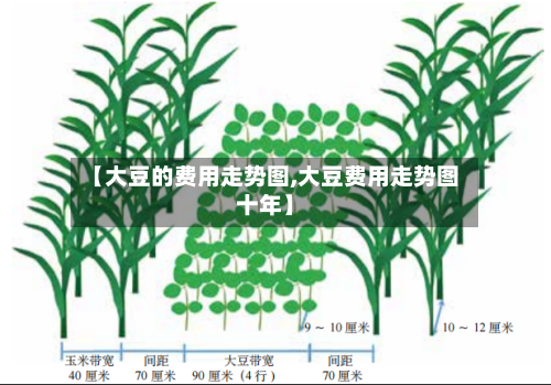 【大豆的费用走势图,大豆费用走势图十年】