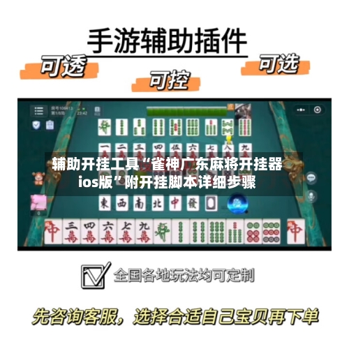 辅助开挂工具“雀神广东麻将开挂器ios版	”附开挂脚本详细步骤-第3张图片