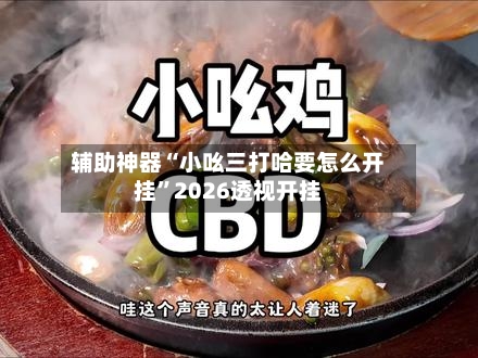 辅助神器“小吆三打哈要怎么开挂	”2026透视开挂-第2张图片