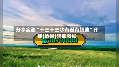 分享实测“十三十三水有没有辅助”开挂(透视)辅助教程-第2张图片