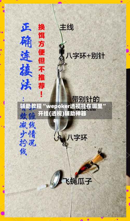 辅助教程“wepoker透视挂在哪里”开挂(透视)辅助神器-第3张图片