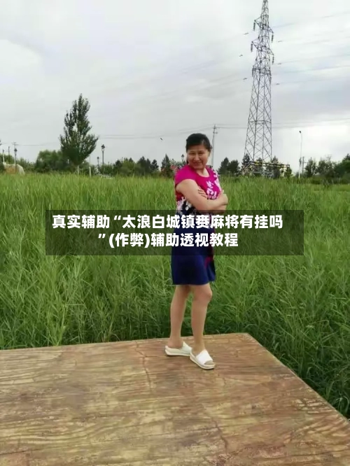 真实辅助“太浪白城镇赉麻将有挂吗”(作弊)辅助透视教程