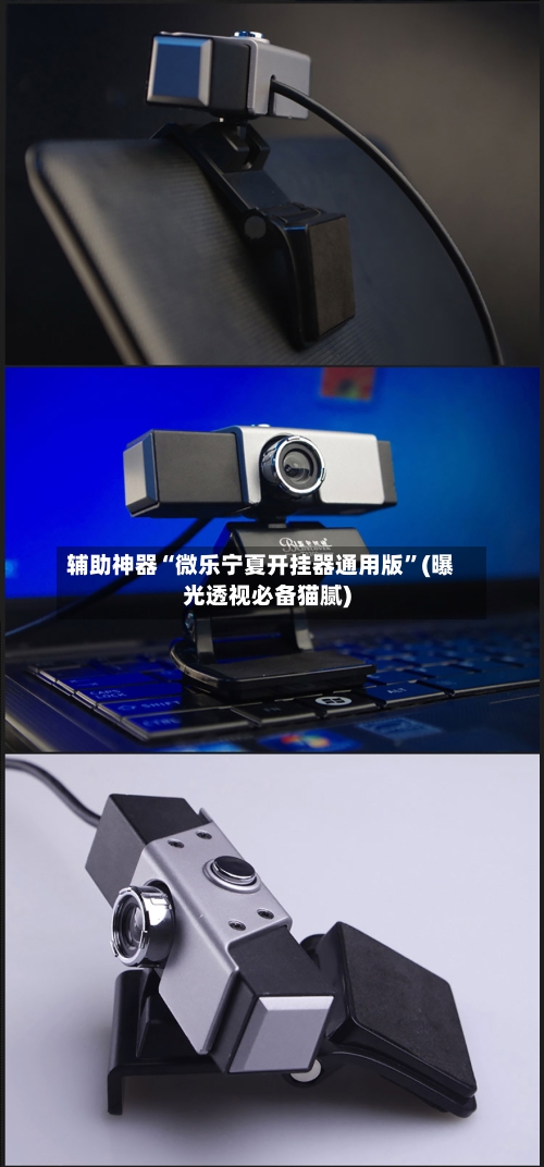 辅助神器“微乐宁夏开挂器通用版”(曝光透视必备猫腻)