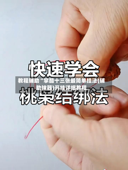 教程辅助“掌酷十三张最简单挂法(辅助神器)开挂详细教程-第2张图片