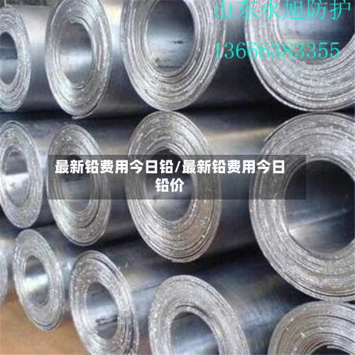 最新铅费用今日铅/最新铅费用今日铅价-第2张图片