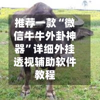 推荐一款“微信牛牛外卦神器”详细外挂透视辅助软件教程-第2张图片