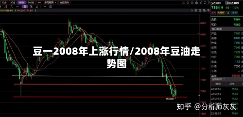 豆一2008年上涨行情/2008年豆油走势图