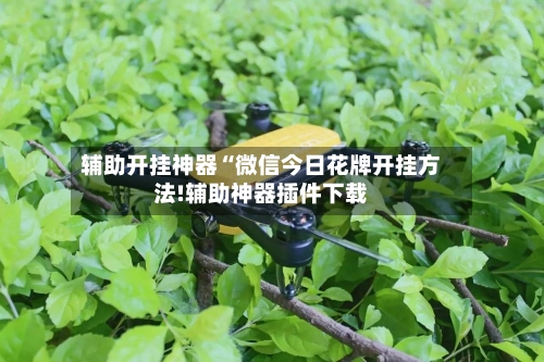 辅助开挂神器“微信今日花牌开挂方法!辅助神器插件下载