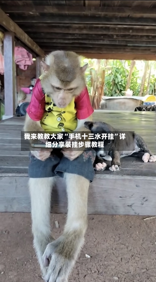 我来教教大家“手机十三水开挂”详细分享装挂步骤教程