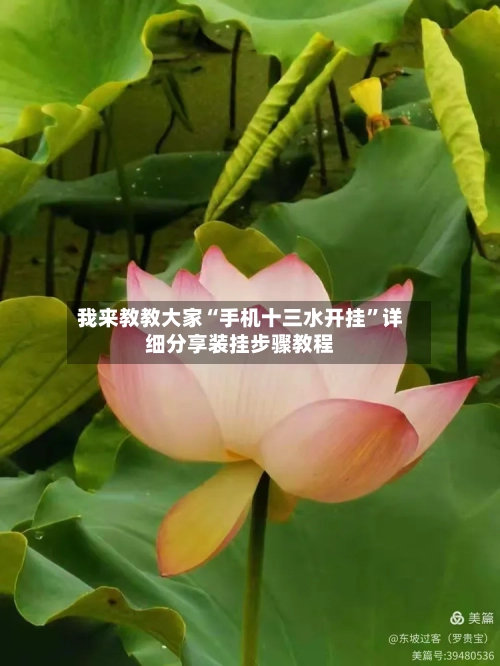 我来教教大家“手机十三水开挂”详细分享装挂步骤教程-第3张图片