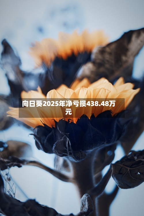 向日葵2025年净亏损438.48万元-第2张图片
