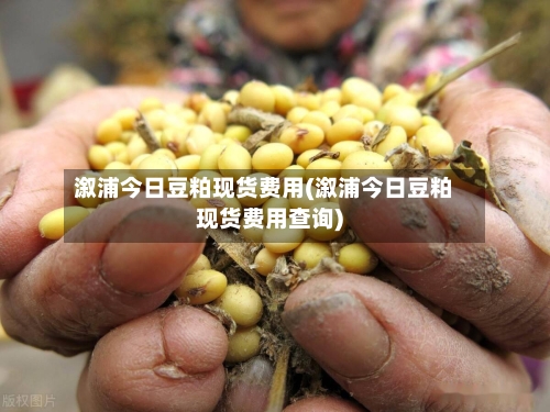 溆浦今日豆粕现货费用(溆浦今日豆粕现货费用查询)-第3张图片