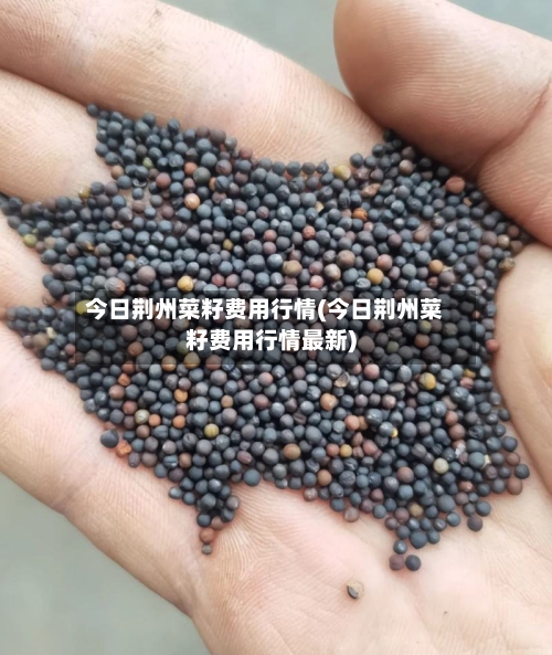 今日荆州菜籽费用行情(今日荆州菜籽费用行情最新)