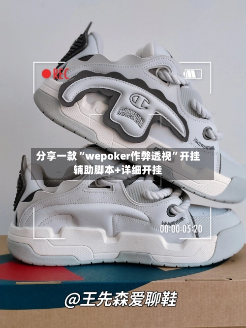 分享一款“wepoker作弊透视”开挂辅助脚本+详细开挂