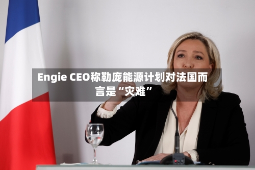 Engie CEO称勒庞能源计划对法国而言是“灾难”-第2张图片