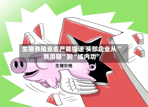 生猪养殖业去产能提速 头部企业从“熬周期”到“练内功”